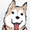 Mr. Raynard, Dog Trainer
